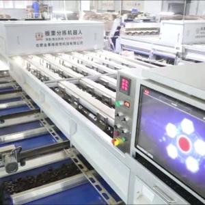 China Intelligent Deep-learning 8 lanes+8 outlets Chestnut Sorting Machine 3.3 Tons per Hour: Learning, Growing, Continuous Optimization wholesale