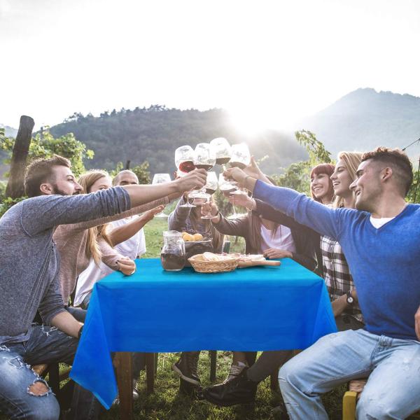 Plastic Tablecloth 5 Pack Red Disposable Rectangle Waterproof Party disposable table cover