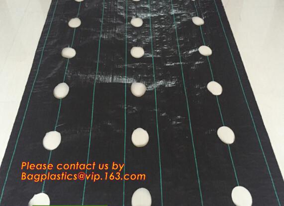 Silver Black Perforated Plastic Mulch Film with Punch Hole,biodegradable perforated plastic mulch film,Perforated plasti