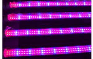 China Full spectrum 18w T8 led grow light for plant growth , flower and vegetable on sale