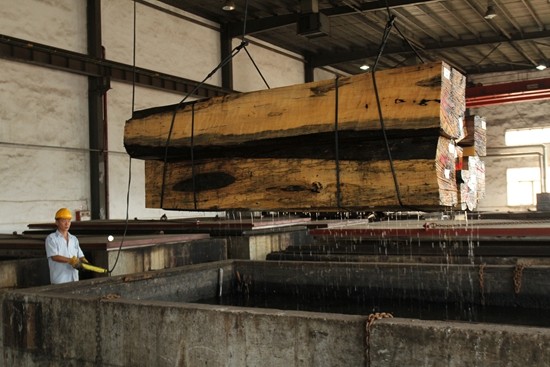 Teak Natural Wood Veneer Natural Crown Cut Veneer FSC Certification