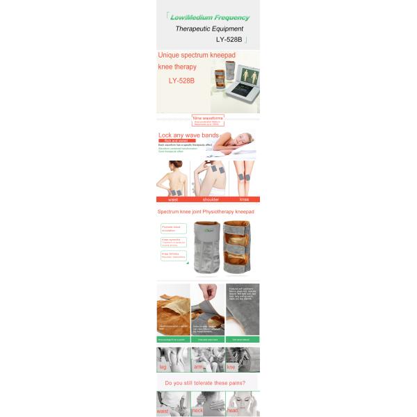 Plastic Wireless Tens Unit Low Frequency ClassⅠ BF Security Type ISO Certification