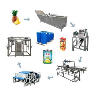 China Multifunctional Pineapple Juice Processing Line Machine For Pineapple Processing Plants wholesale