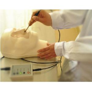 Buy cheap College , hospital learning simulations nasal hemorrhage training model from wholesalers