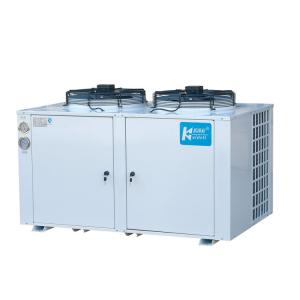 China Low Temp Cold Storage Refrigeration Units Chiller Fit R22 Refrigerant wholesale