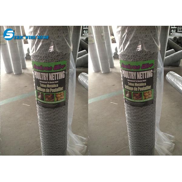 Hexagonal wire mesh/netting