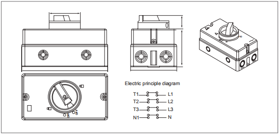 Large Contrast Color 230V 10mm AC Isolator Switch