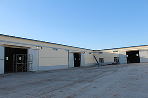 2024 years factory wholesale raw sunflower seeds