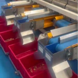 China Multi-grade Walnut Kernel Sorting Machine With Intelligent High Output Durable Industrial Sensors For Reliable Processing wholesale