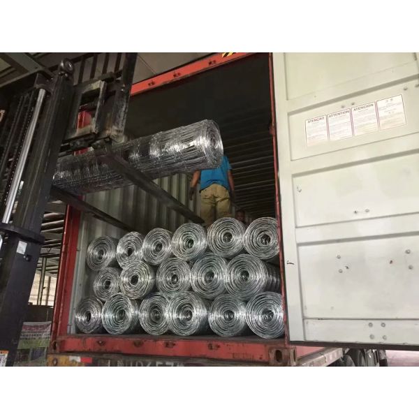 50m / 100m Field Wire Fence , Eco Friendly 3 Ft 4 Ft 5 Ft 6 Ft Field Fence