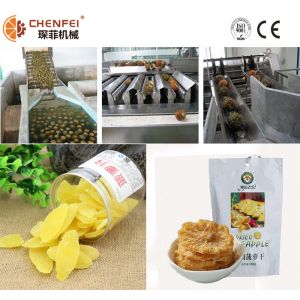 Automatic Dried Preserved Pineapple Processing Line Stable High Efficiency