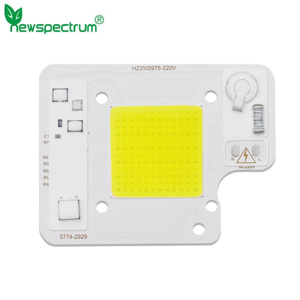Cold White Led Cob 50w Reliable Consistent Flip Chip Cob Led