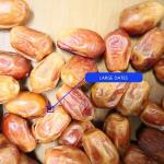 Precise Defect Detection 1.4 Tons Per Hour 6-Lane Palm Dates Sorting Machine