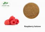 China Food Grade Weight Loss Powder Raspberry Extract Powder Raspberry Ketone 20% wholesale