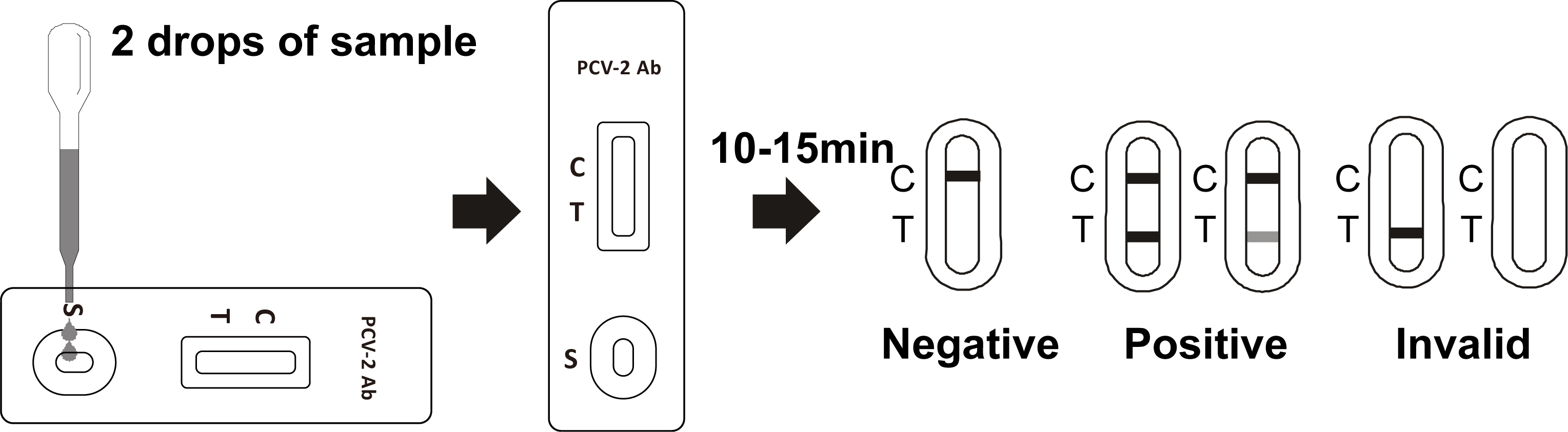 PCV-2 Ab Porcine Circovirus Testing Cassette Serum Plasma