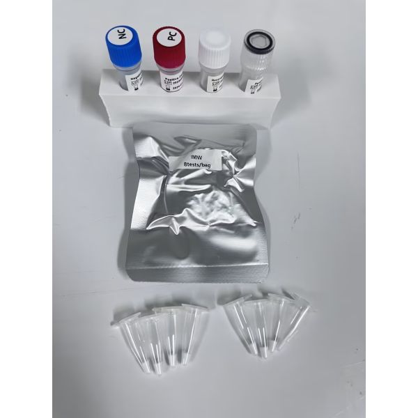 Lyophilized Multiple Respiratory PCR Test Kit Fluorescent Taqman Probe Pcr Detection Kit