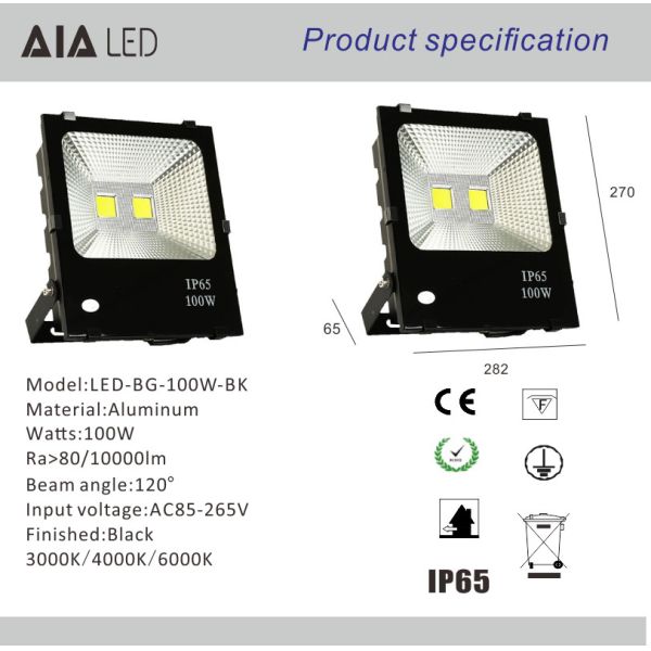 Aluminum waterproof IP66 led flood lamp floodlight COB 100W LED Flood lights