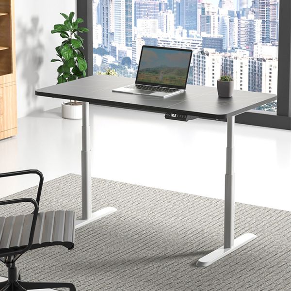 Modern Design Custom Dual Motor Standing Desk for Study SPCC Steel/Iron Frame Material