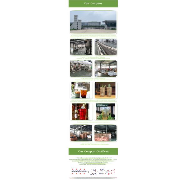 5 Oz Compostable Biodegradable Clear Cups Waterproof