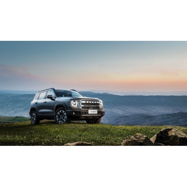 High-Performance Haval Dargo 1.5-2.0L SUV with ABS for Customer Requirements