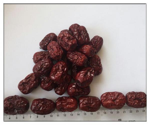 Quality Zizyphus jujuba,Chinese date(Red date),FRUCTUS JUJUBAE DATE for sale