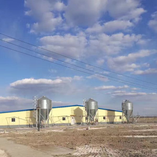 OEM ODM 8 Ton 15 Ton Grain Bin Rubber Sealing With Observation Window