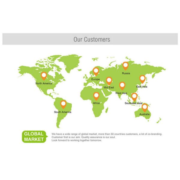 IP66 Protect Feature electric lineari actuator 12v/24v dc, 10000n load industry actuator