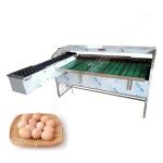 Egg Grader Sorter Egg Weighing Grading Machine Chicken Duck Egg Grading Sorting