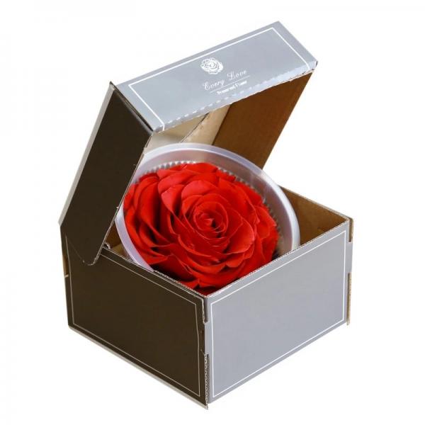 China factory Real Preserved Rose in Gift Box for Decoration Gift Preserved Flowers in Box