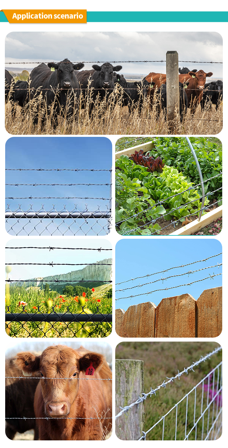Economical Custom Design hot dip galvanized barbed wire 10kg barbed wire price in bangladesh for security