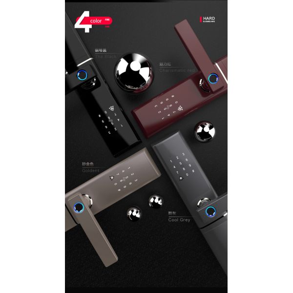 Smart Fingerprint Enabled Keyless Magnetic Door Lock With CE FCC ROHS Certifictation