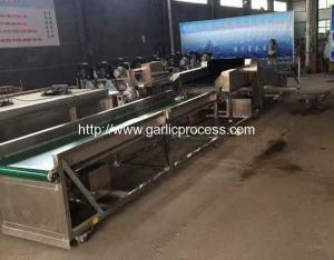 China Garlic Dry Cleaning Machine wholesale