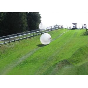 China Crazy Kids Mini Inflatable Zorb Ball Track Soccer Bubble Ball wholesale