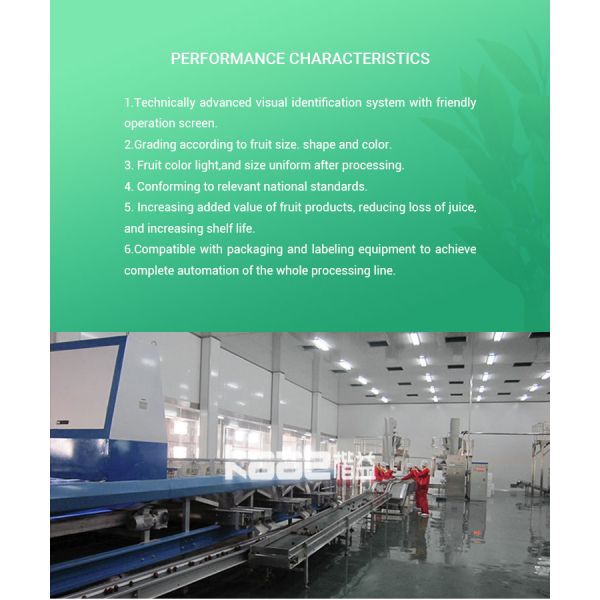 2.2Kw Automatic Fruit Sorting Machine Vegetable Grading Equipment