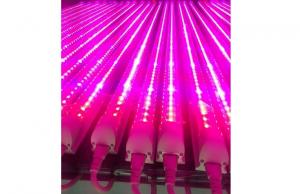 China Full spectrum 18w T8 led grow light for plant growth , flower and vegetable wholesale