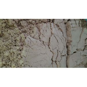 China Hysicochemical Feed Raw Material Chicken Plasma Protein Moisture 8% wholesale