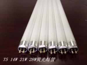 China T5 14W 21W 28W fluorescent tube lamp wholesale