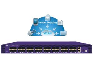 China NetTAP® Network Packet Broker VXLAN Header Stripping in Original Packet and Metadata wholesale