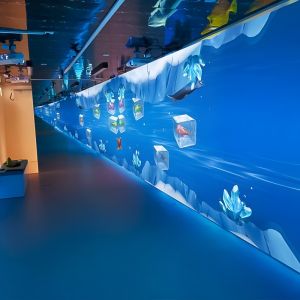 China Large 3D Immersive Wall Interactive Wall Projection System For Hotel wholesale