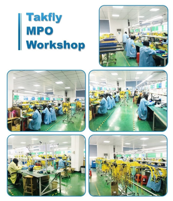 8F 12F 24F 48F MM OM4 MTP MPO to Duplex Uniboot LC Fiber Patchcord