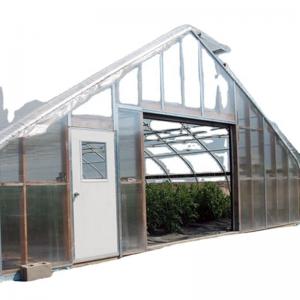 China Single Span Greenhouse Mushroom Growing Equipment Covered with Transparent Plastic Film wholesale