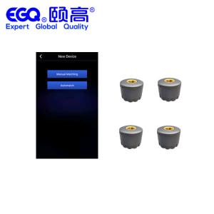 China External Sensor 2.4Ghz Car Tire Pressure Monitoring System wholesale