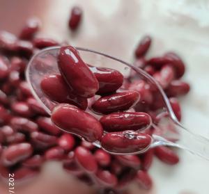 China Healthiest Salty Flavor Water Preservation Canned Red Kidney Beans wholesale