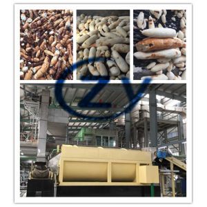 China Multifunction Cassava Tapioca Roots Washing Machinery 20t / H Stainless Steel wholesale