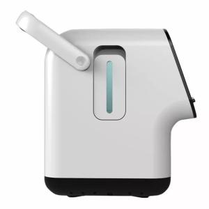 China 10 Liter Portable Oxygen Concentrator 220 Volt With Atomization And Timing Function wholesale