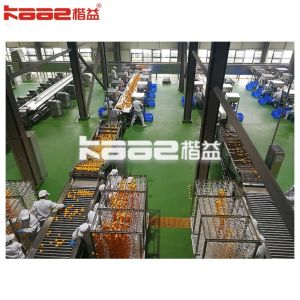 China Fully Automatic Dried Persimmon Processing Line For Food Processing Plant wholesale