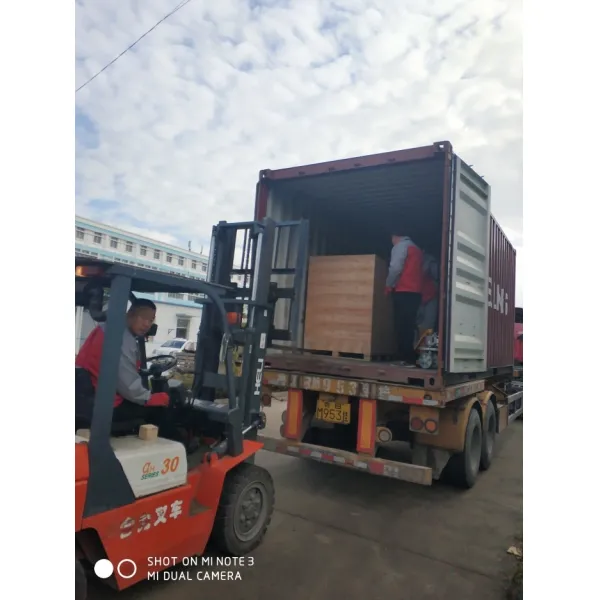 PMT Automatic Carton Sealing Machine Opening And Bottom Box Sealer