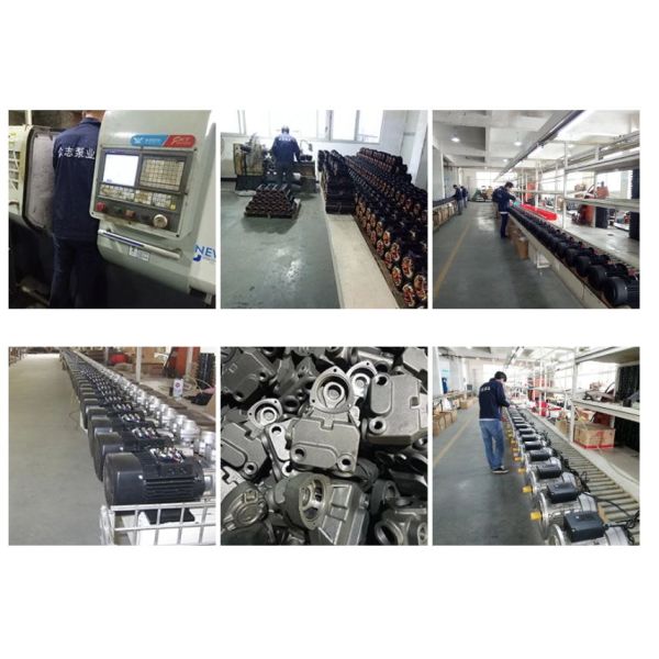 Low Noise Single Phase Induction Motor 2 Pole For Inground Swimming Pool Pump