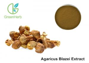China Agaricus Blazei Extract Promoting Hematopoiesis ,  Medicinal Mushroom Powder wholesale