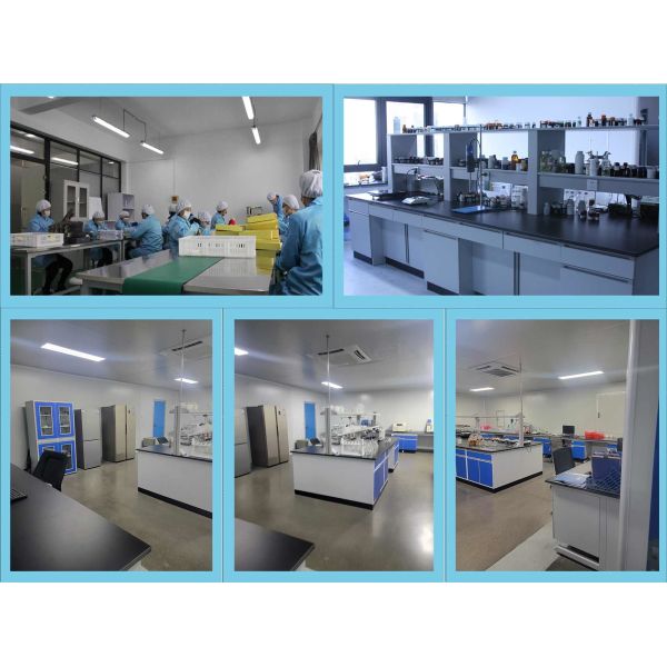 Home Fragrance Citrus Fragrance Essence Oil Toy Fragrance Oil